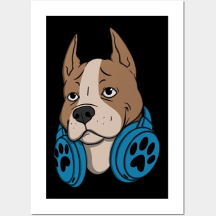 Pitbull Dog Blue Headphones Posters and Art